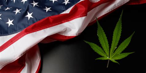 Breaking News: Cannabis Rescheduled to Schedule III By Federal Law