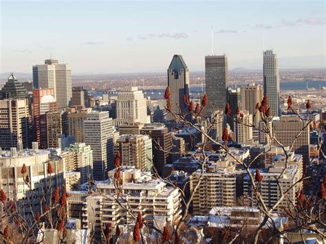 City Skylines Montreal | Skyline, City skyline, Montreal