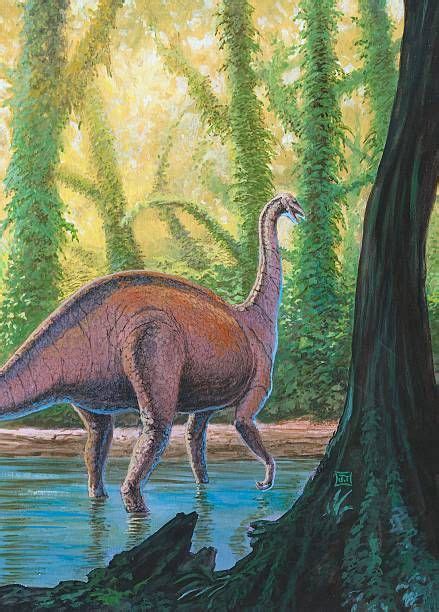 Vulcanodon caribensis, Vulcanodon Tidae. | Dinosaur illustration ...