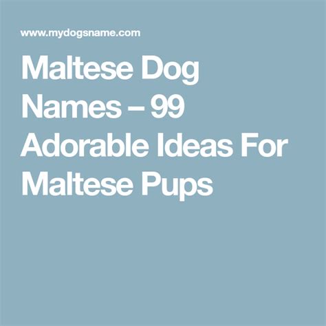 Maltese Dog Names – 99 Adorable Ideas For Maltese Pups | Dog names, Maltese dogs, Maltese