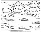 Arctic Coloring Sheets Pages sketch template