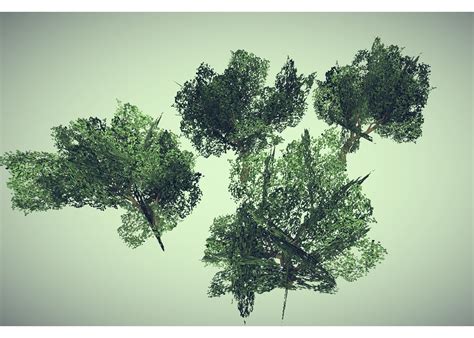 3D model low poly tree VR / AR / low-poly OBJ 3DS LWO LW LWS HRC XSI ...