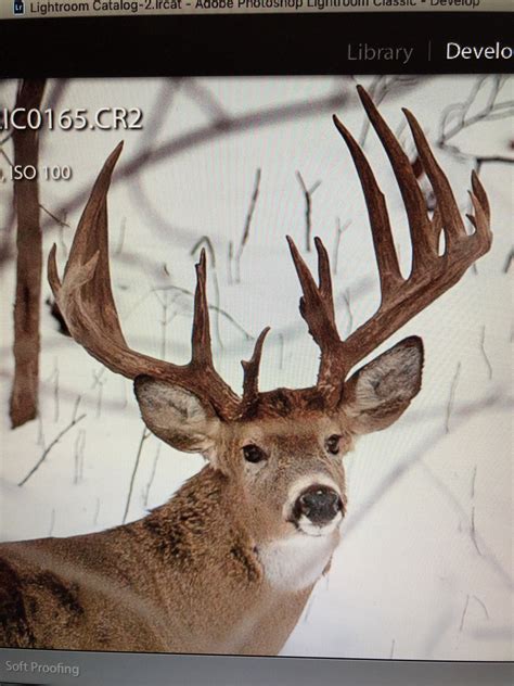 2019 Deer contest sign ups | Page 2 | Ohio Sportsman - Your Ohio ...