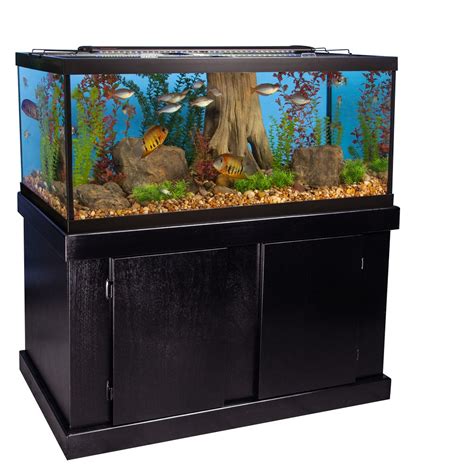 75 Gallon Aqueon Aquarium For Sale - Aquarium Views