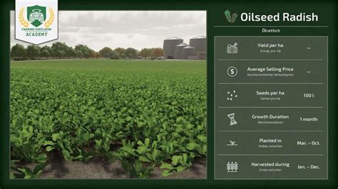 Farming Simulator 22 - Introduction to Crop Types: Overview