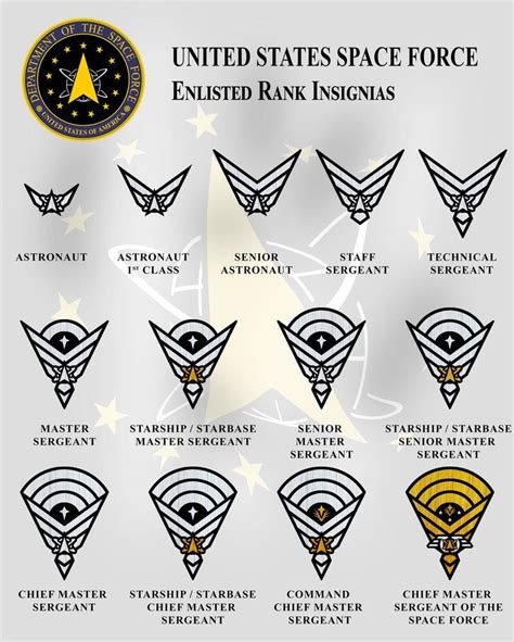 Space Force rank structure, its happening , next Tuesday i think. : r/army