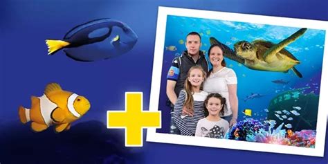 SEA LIFE Tickets & Pricing | SEA LIFE Michigan Aquarium