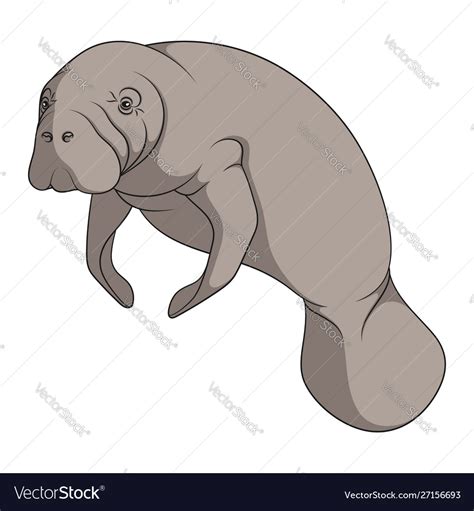 Color with manatee a sea cow Royalty Free Vector Image