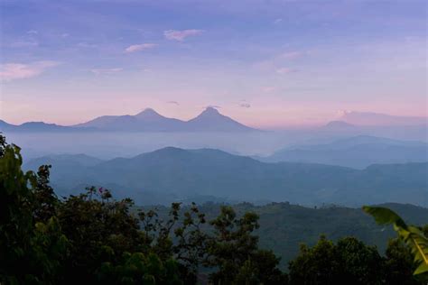 Virunga National Park | DRC | Wild Safari Guide