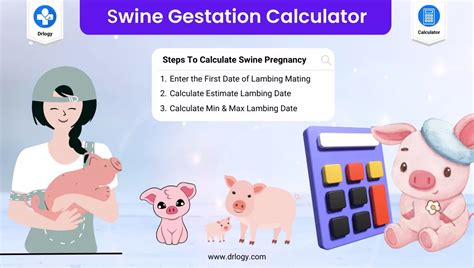 Swine Gestation Calculator | Date of Farrowing - Drlogy