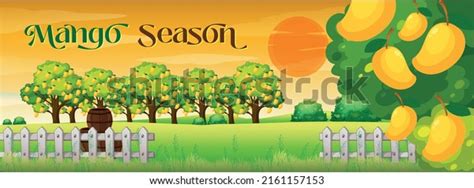 Mango Season: Over 3,438 Royalty-Free Licensable Stock Vectors & Vector ...