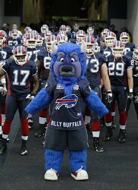 1000+ images about NFL Mascots on Pinterest | Da bears, Minnesota ...