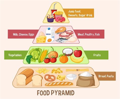 Free Vector | Food nutrition groups pyramid