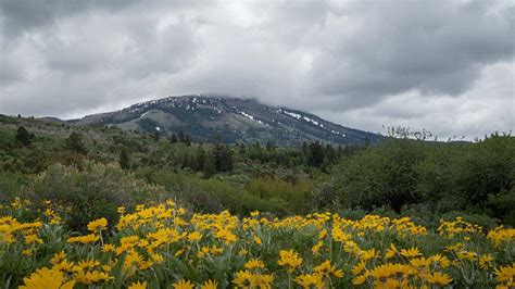 University of Idaho Extension in Bannock County