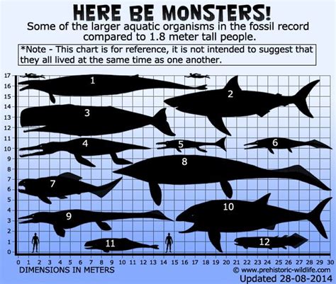 Largest Marine Monsters | Megalodon, Prehistoric wildlife, Prehistoric world