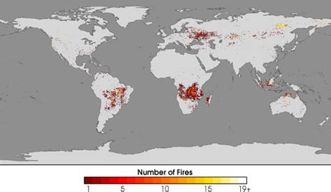 Global Fire Maps