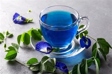 What is Blue tea and why should you start drinking it? - The Statesman