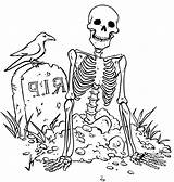 Get Skeleton Coloring Pages PDF Here  Coloringfoldercom sketch template