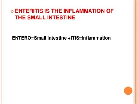 Enteritis