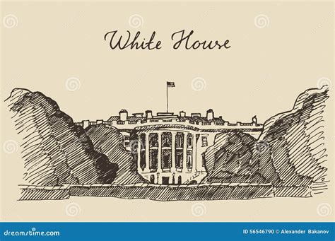 White House In Washington DC Hand Drawn Sketch Stock Vector - Image ...