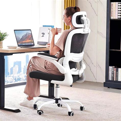 TRALT Ergonomic Office Chair Desk Chair, Gaming Chair, Computer Chair ...