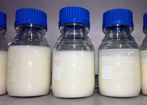 Bread Improver Food Grade Emulsifiers E472e Ivory White Yogurt ...