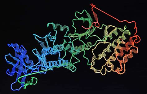 Quantum approach reveals faster protein folding – Physics World