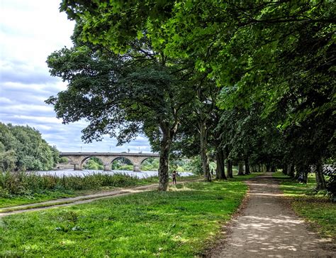 Tyne Green Park Hexham | Playground, Accessible Walk & Picnic Spot ...