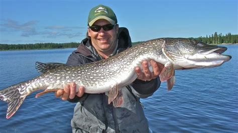 Fishing tourism initiative to spur economic growth in French River ...