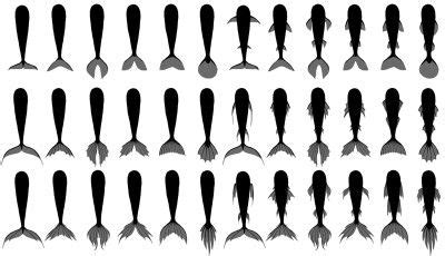 Mermaid tail types | Mermaid drawings, Mermaid art, Mermaid tail drawing