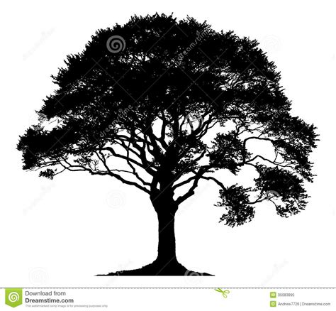 Oak Tree Vector Free Download at Vectorified.com | Collection of Oak Tree Vector Free Download ...