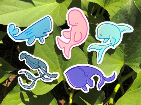 Whale Stickers Cute Dolphin Ocean Marine Sea Creature Waterproof ...