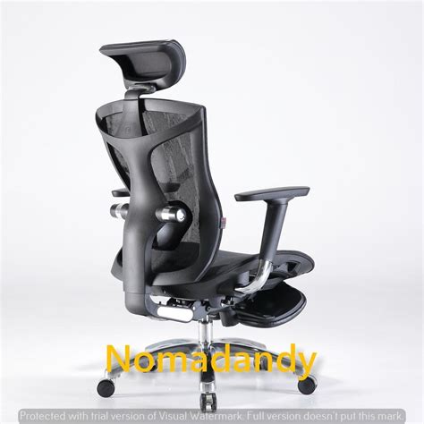 Ergonomic Office Chair with Adjustable Lumbar Support 4D Armrest Reclinable Chair Adjustable ...