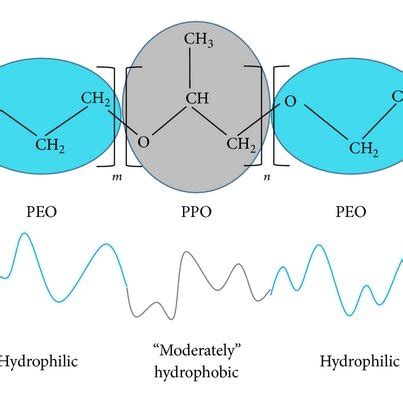 Schematic representation of Gemini and Bola amphiphiles. | Download Scientific Diagram