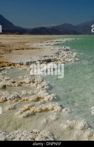 Africa, Djibouti, Lake Assal. Salt crystals emerging from the water with mountains in the ...