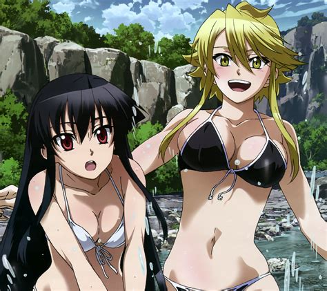 Akame ga Kill smartphone wallpaper Akame and Leone – Kawaii Mobile