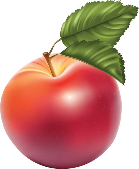 Png Apple Image Clipart Transparent Png Apple Transparent HQ PNG ...