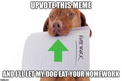 Dog Ate Homework - Imgflip