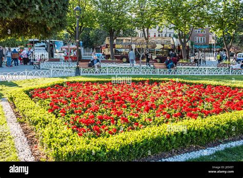 Tour buses in downtown Istanbul, Turkey Stock Photo - Alamy