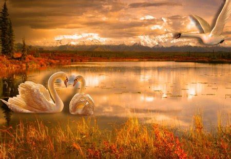 Romantic nature - Lakes & Nature Background Wallpapers on Desktop Nexus (Image 1443028)