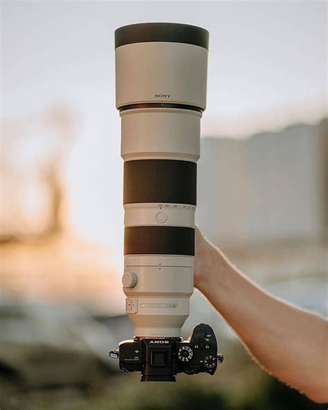 Sony 200-600mm | Sony, Sony camera, Sony alpha