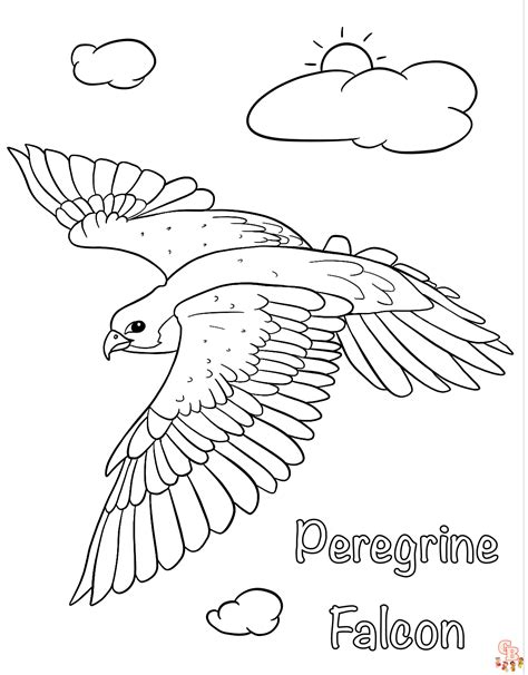 Spacex Falcon Heavy Coloring Page Free Printable Colo - vrogue.co