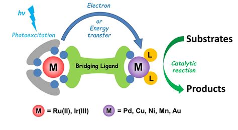 Catalysts | Free Full-Text | Heterobinuclear Metallocomplexes as ...