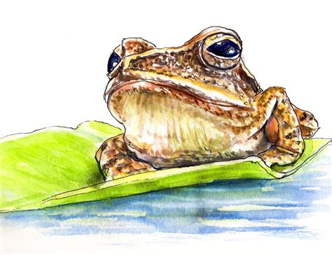 World Watercolor Month - Day 12 - A Frog At Sunset - Doodlewash ...