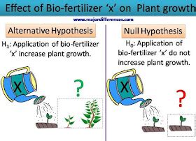 Major Differences: 5 Differences between Null and Alternative ...