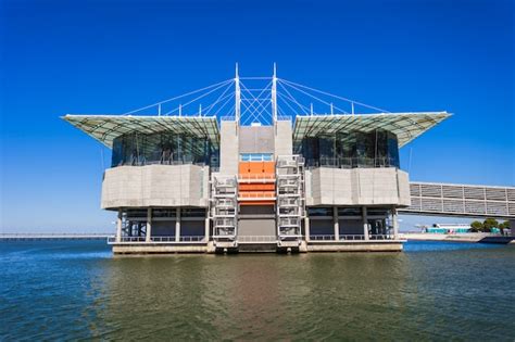 Premium Photo | The lisbon oceanarium