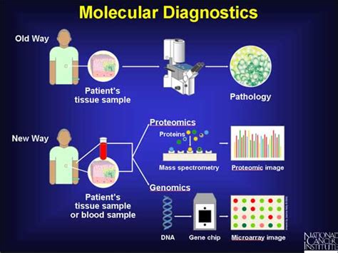 Molecular Diagnostics Market Expected to Reach USD 8.7 Billion through 2019: TMR -- Transparency ...