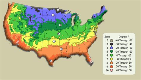 What's your plant hardiness zone? Enter your zipcode in this USDA Hardiness Zone map to find out ...