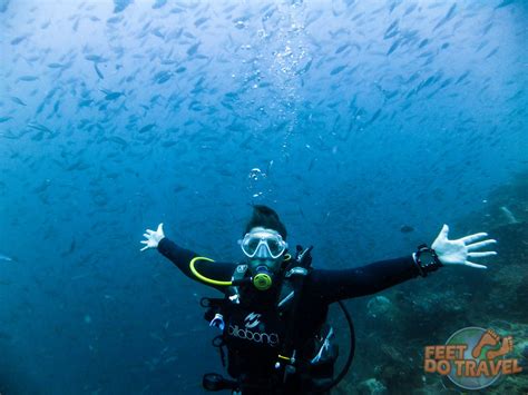 Diving Raja Ampat - FeetDoTravel