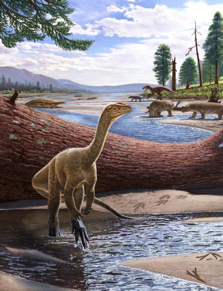 Archaeologists Unravel Ancient Deinocheirus Mystery Through ɡгoᴜпdЬгeаkіпɡ Fossil Find – 2000 Daily